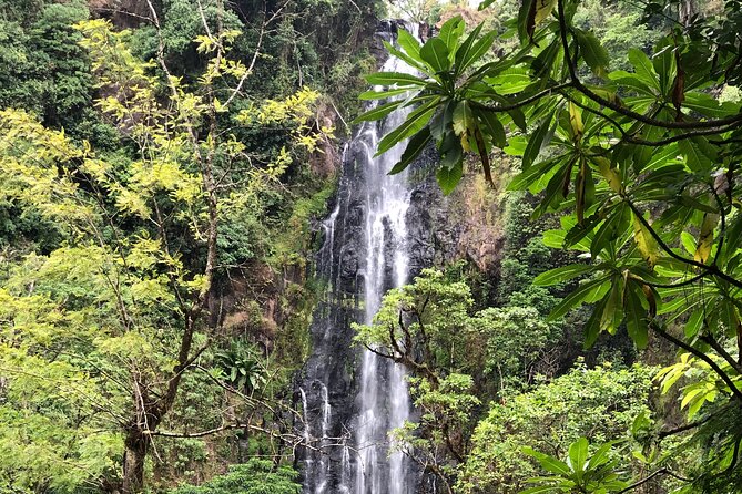 Materuni Waterfalls Coffee Tour & Chemka Hot Springs Day Trip - Kikuletwa Hotsprings