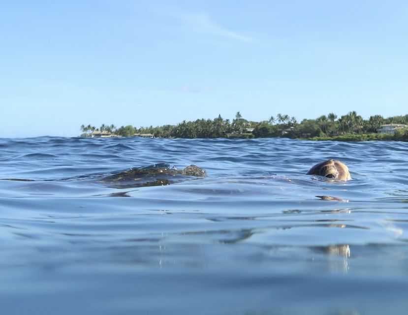 Maui: Beginner Level Private Stand-Up Paddleboard Lesson - Stand-Up Paddleboarding Instruction