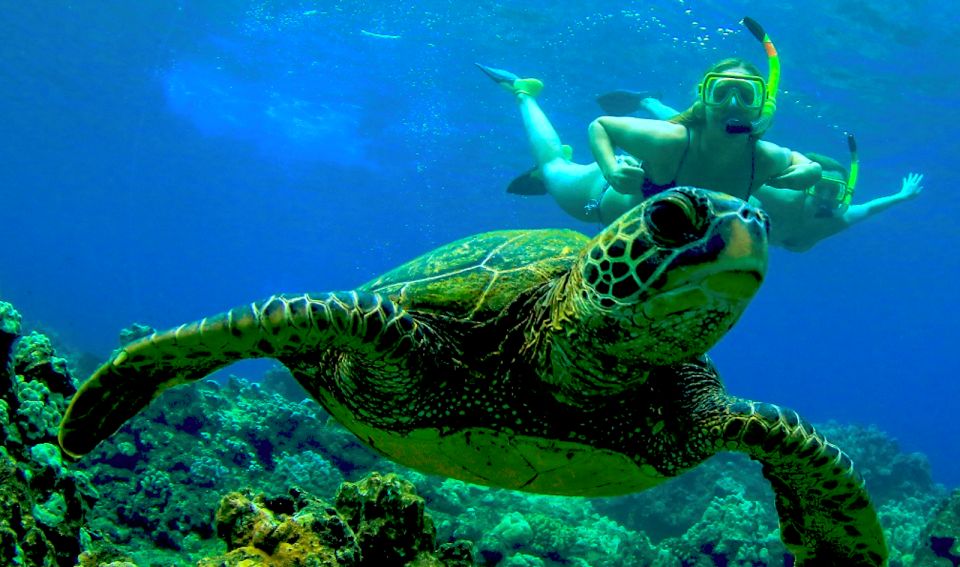 Maui: Cruise With Snorkeling and Barbecue Lunch - Snorkeling Destinations and Experiences