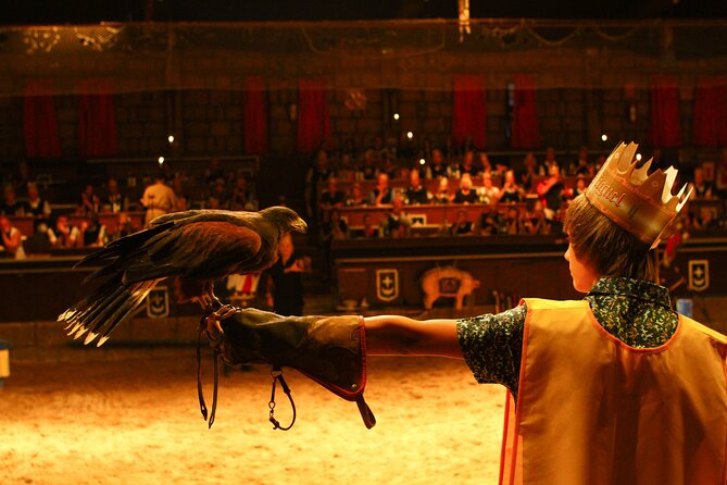 Medieval San Miguel Castle With Dinner-Show in South Tenerife - Suitable for the Family