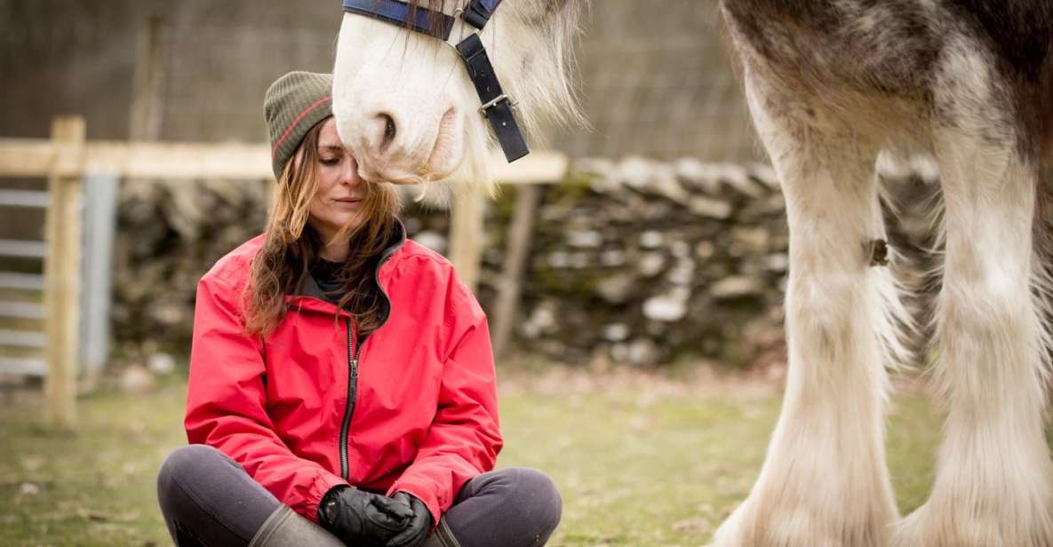 Meditate With Horses Full Circle Experiences - Guided Meditation and Relaxation