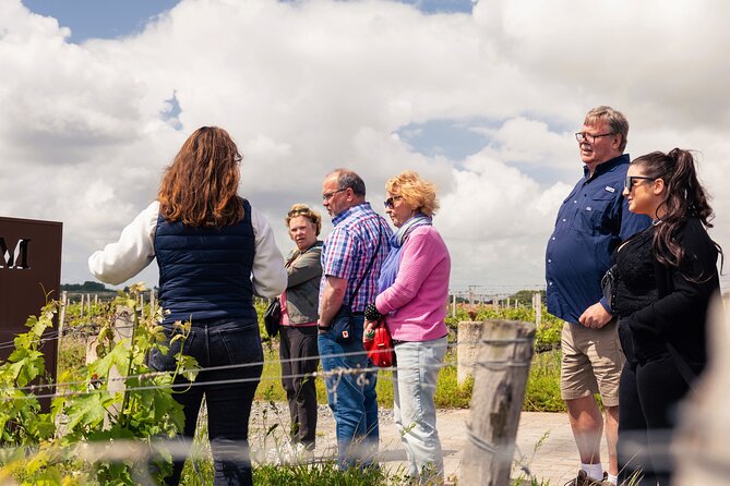 Medoc Small-Group Wine Tour With Tastings & Chateau Visits From Bordeaux - Full-Bodied Wines at a Wine Estate