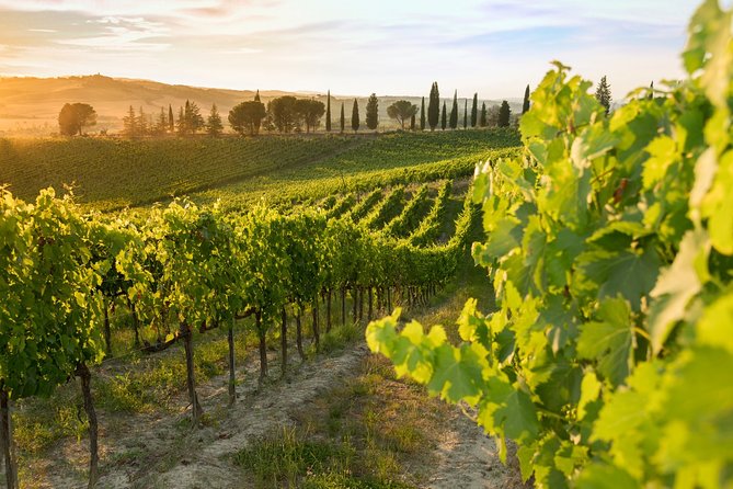 Montalcino: Brunello Wine Tasting Experience - Inclusions and Exclusions