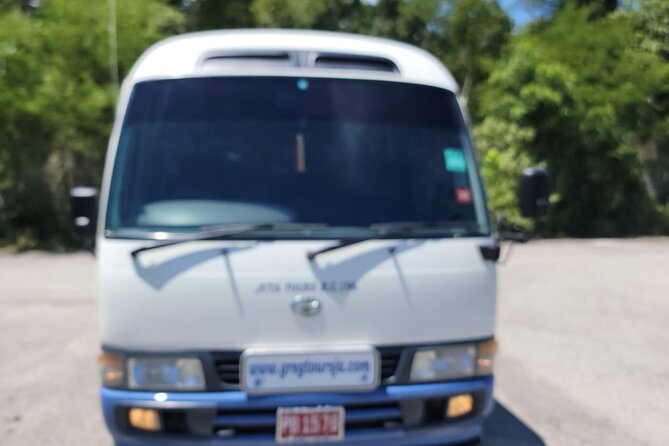 Montego Bay Resorts Airport Transportation-Arrival &/or Departure - Accessibility and Participation