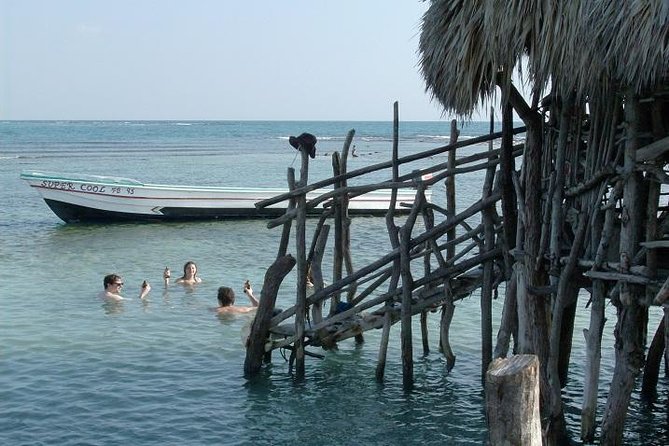 Montego Bay to The Pelican Bar Round-Trip Shuttle Transportation - Restrictions and Accessibility