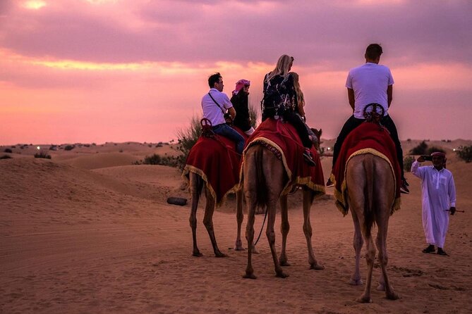 Morning Quad Biking & Red Sand Desert Safari , Camel Ride, Sand Boarding - Sandboarding on High Dunes