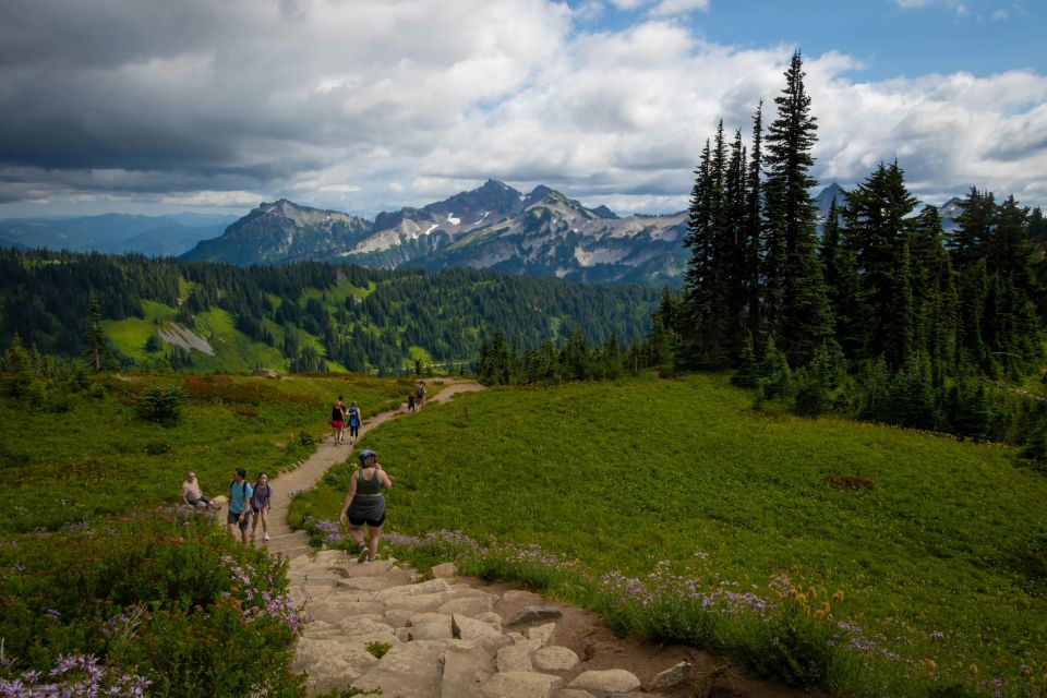 Mount Rainier Np: Full Day Private Tour & Hike From Seattle - Panoramic Views of Mount Rainier