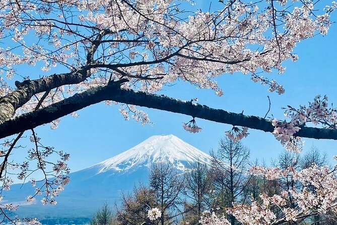 Mt. Fuji & Lake Kawaguchiko Private 1 Day Tour With Pick & Drop - Exclusions From the Tour