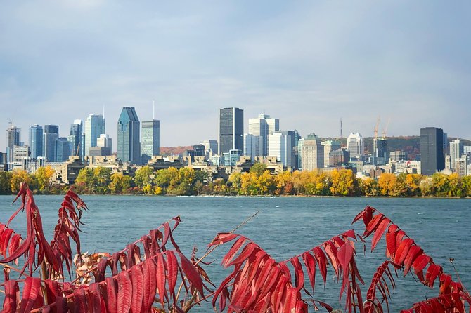 Must See Montreal Walking Tour With A Local Host - Pickup and Meeting Point