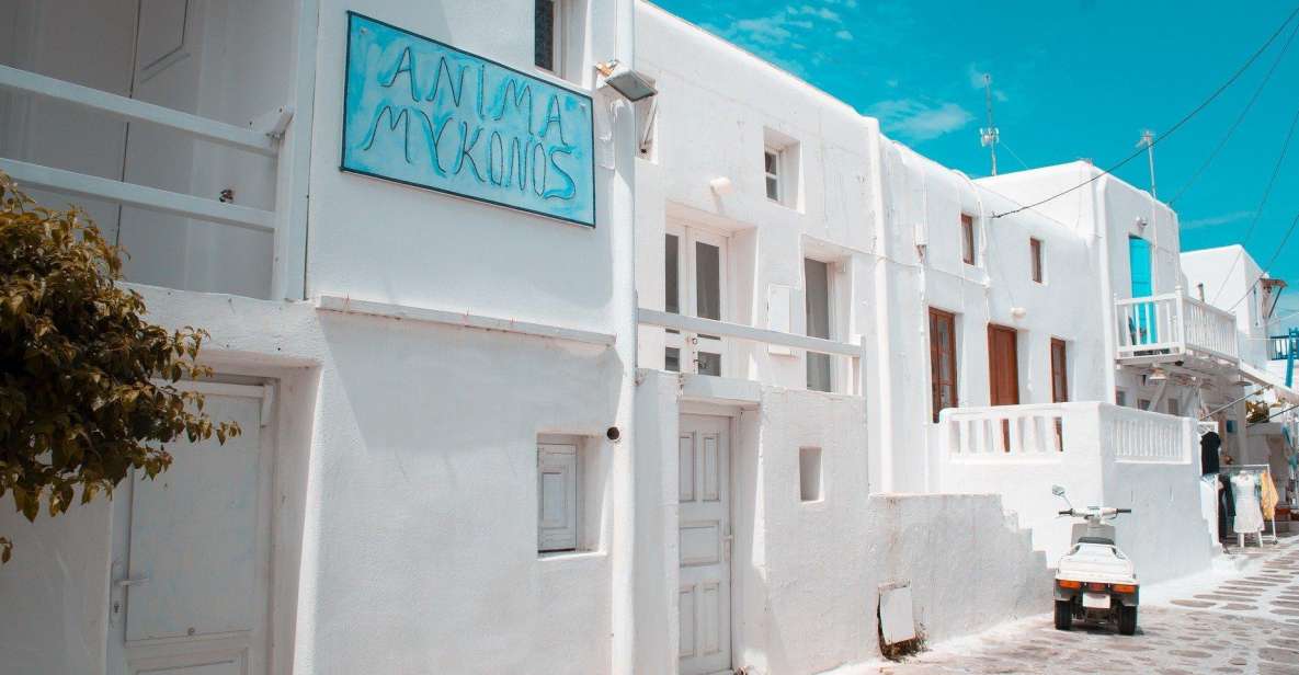 Mykonos: Delos and the City Walking Tour - Logistics