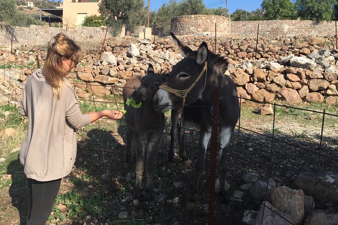 Naxos Villages Food Tour - Tour Logistics