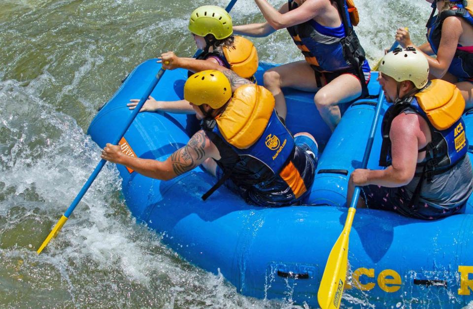 New River Gorge Whitewater Rafting - Lower New Half Day - Starting Point and Transportation