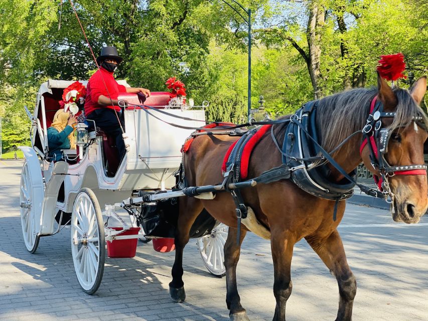 New York City: Central Park Private Horse and Carriage Tour - Meeting Point and Directions