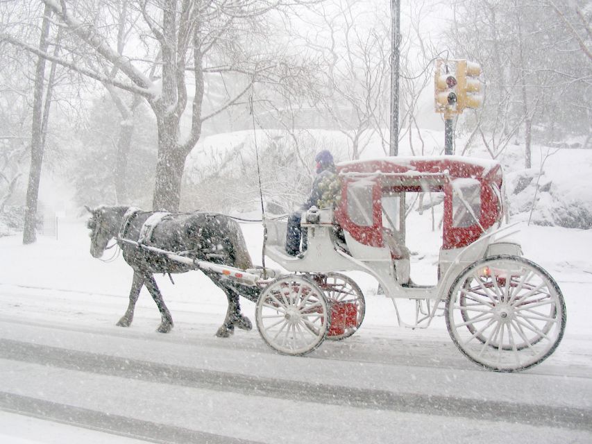 New York City: Horse and Carriage Rides in Central Park - Exceptional Tour Guide Experiences