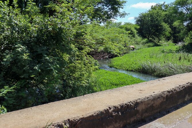 No.1 Ladies Detective Agency Literary Tour (Mma Ramotswe Tour) - Visiting Precious Ramotswes House