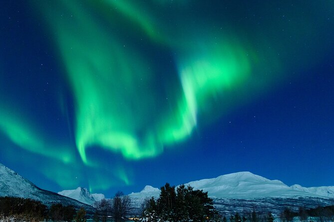 Northern Lights Chase by Bus in Tromso - Meeting Point and End Location