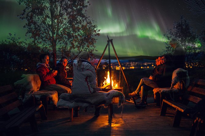 Northern Lights Husky Visit - Dinner and Campfire