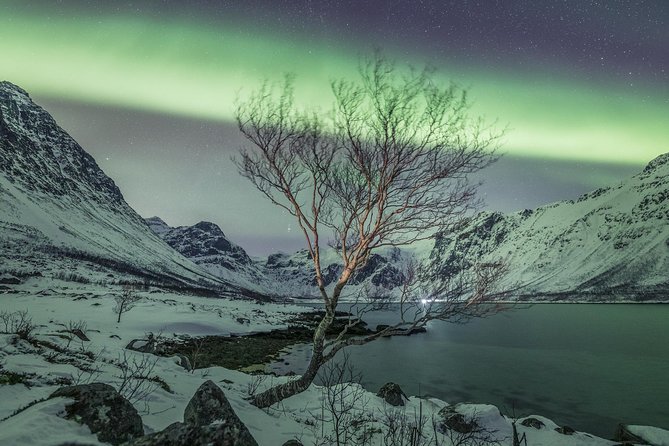 Northern Lights Private Tour With Your Special Ones - Greenlander - Tour Details