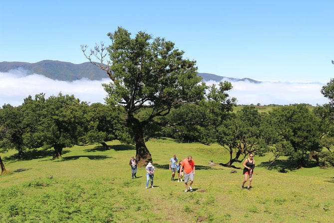 Northwest Terraces and Volcanic Pools 4x4 Full Day Tour - Tour Details