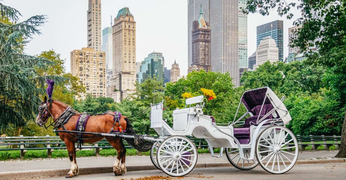 NYC: Guided Central Park Horse Carriage Ride - Carriage Details