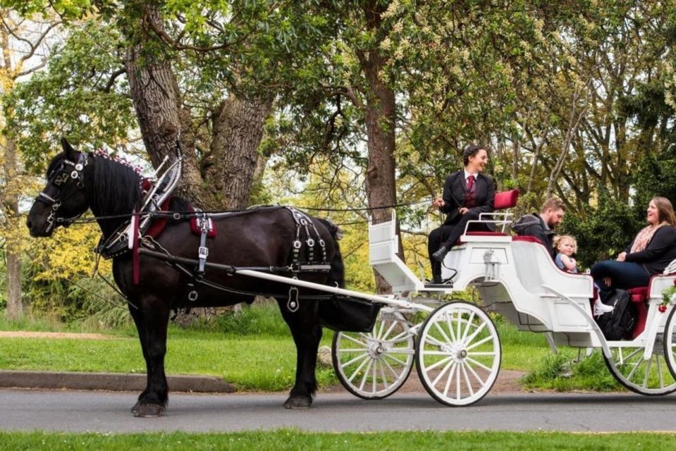 Nyc: Private Central Park Horse Carriage Ride With Guide - Inclusions