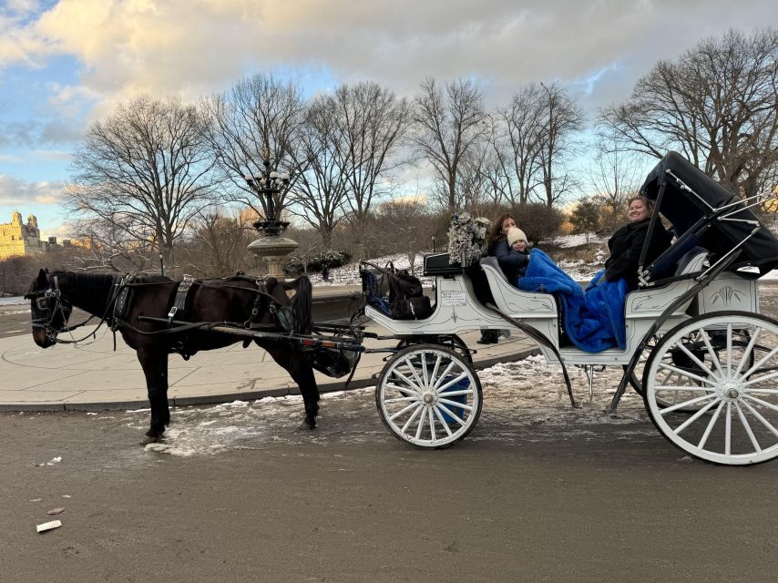 NYC:Guided Central Park Horse Carriage Ride - Meeting Point and Logistics