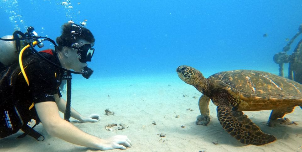 Oahu: Scuba Diving Lesson for Beginners - Highlights of the Experience