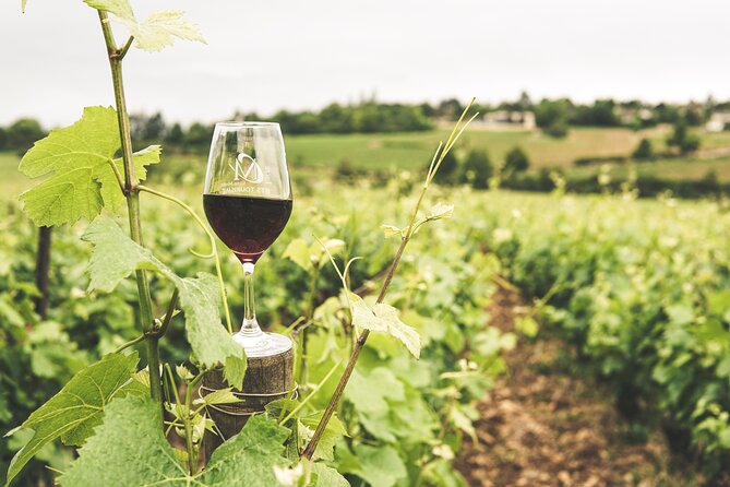 Okanagan 2 Days Wine Tasting & Cherry Picking Tour - Cherry Picking at Kempf Orchards