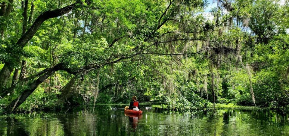 Old Florida Backwater Kayak Adventure Near St. Augustine - Itinerary Details