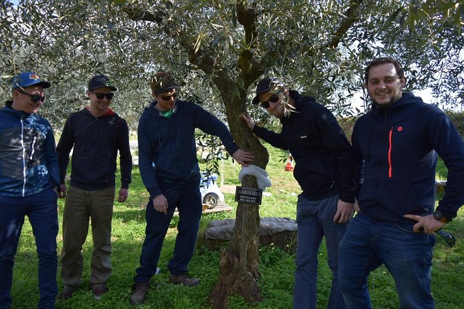 Olive Oil Experience - Guided Olive Oil Tasting