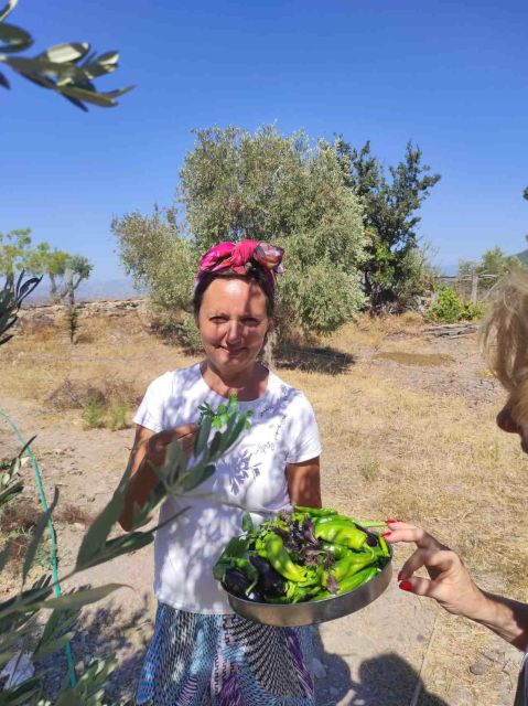 Olive Tasting & Rustic Lunch in Country Home With Live Music - Vegetable Garden Tour