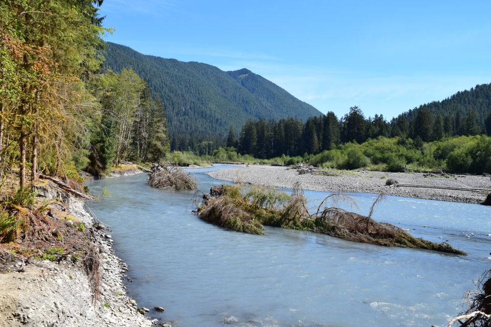 Olympic National Park: Hoh Rain Forest and Rialto Beach Tour - Included in the Tour