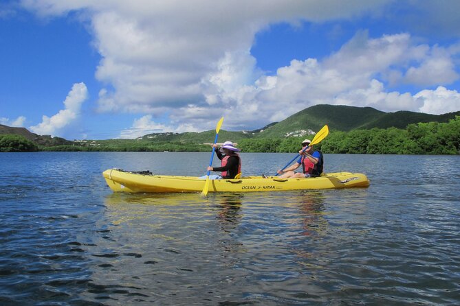 On Your Own: Kayak in the Mangrove Lagoon - Additional Information