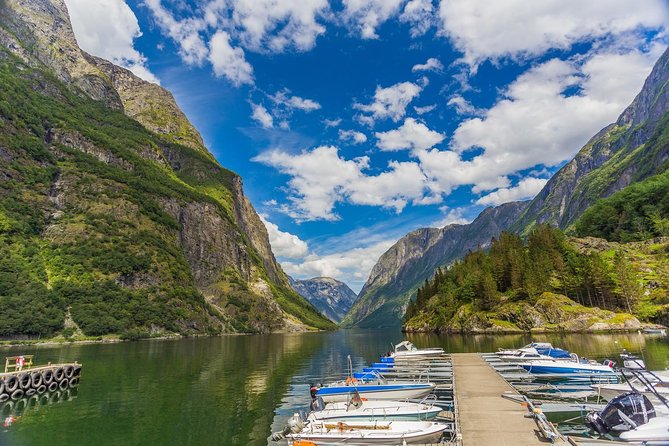 Oslo To Sognefjord Private Full Day Roundtrip Including Flam Railway - Logistics