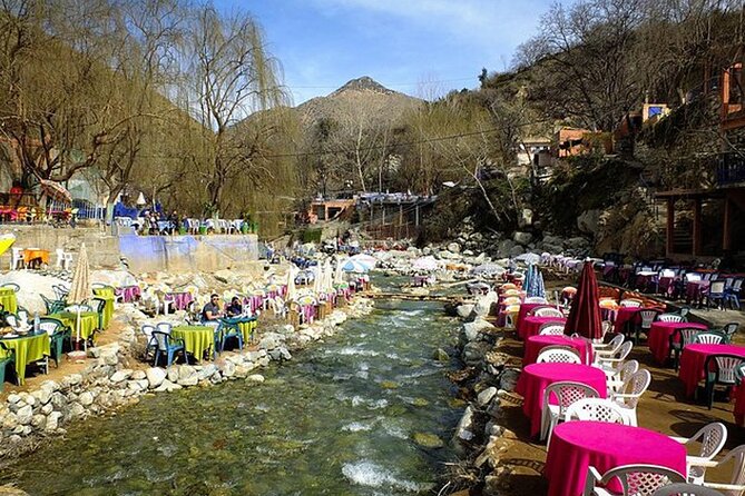 Ourika Valley Day Trip From Marrakech - Experience Highlights