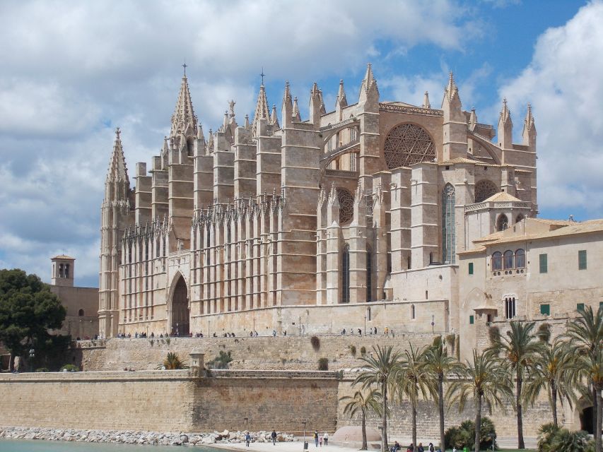 Palma - Private Historic Walking Tour - Plaza Mayor De Palma