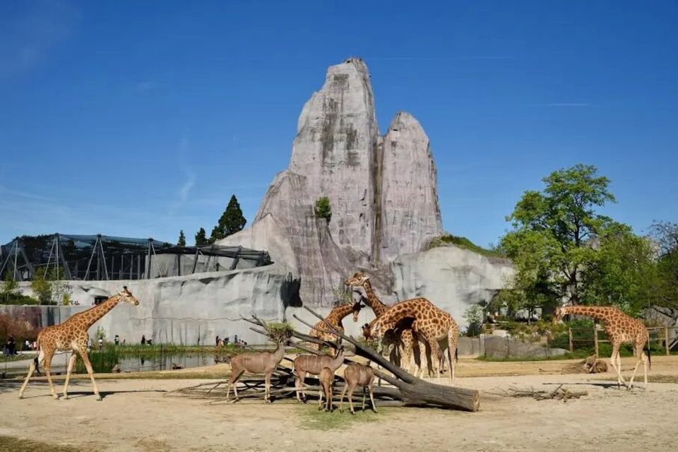 Paris: Paris Zoological Park Entrance Ticket - Booking Details