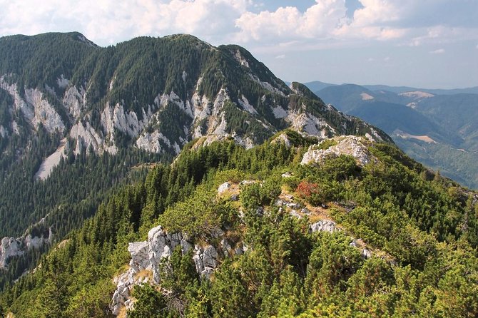 Piatra Craiului National Park Private Hiking Tour From Brasov - Bran Castle Visit