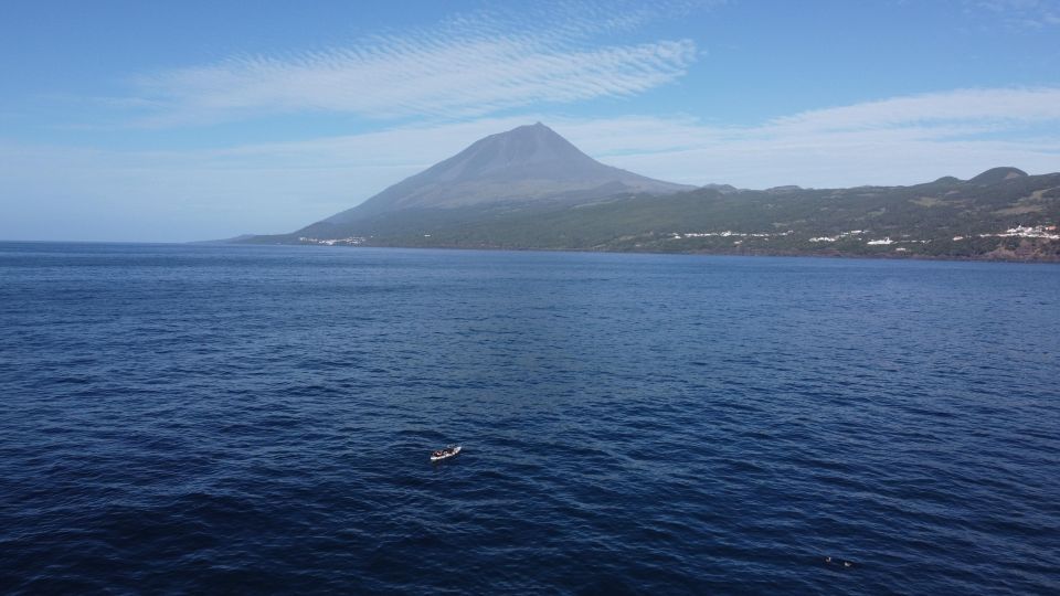 Pico Island, Azores: Guided Kayak and Snorkel Tour - Booking Information