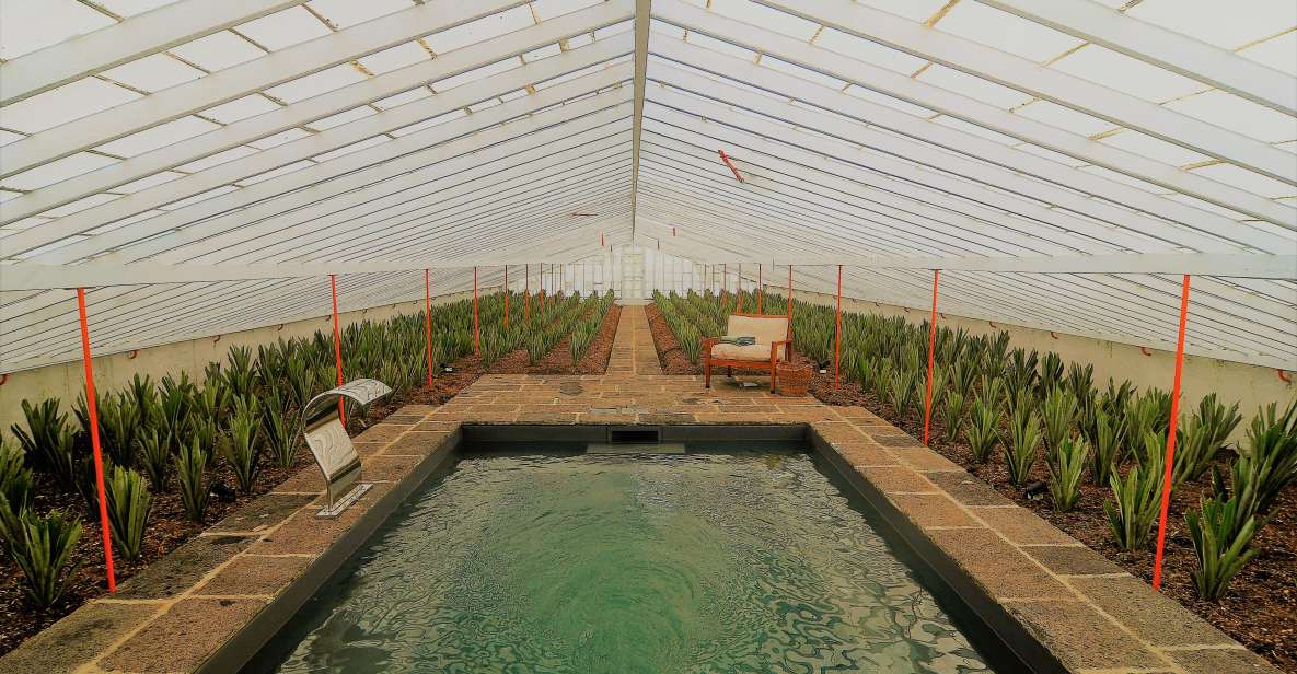 Pineapple Greenhouse Hot Tube and Pineapple Tour - Experience Highlights