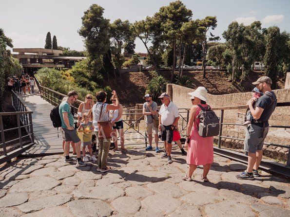 Pompeii and Herculaneum Led by an Archaeologist With Private Transport - Tour Details