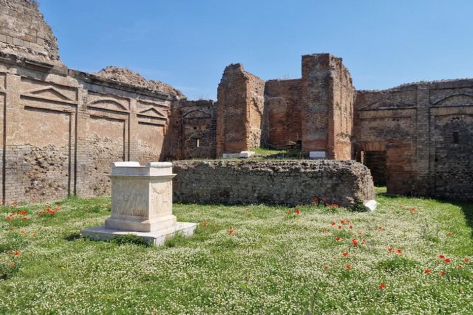 Pompeii & Royal Palace Of Caserta Private Tour From Rome