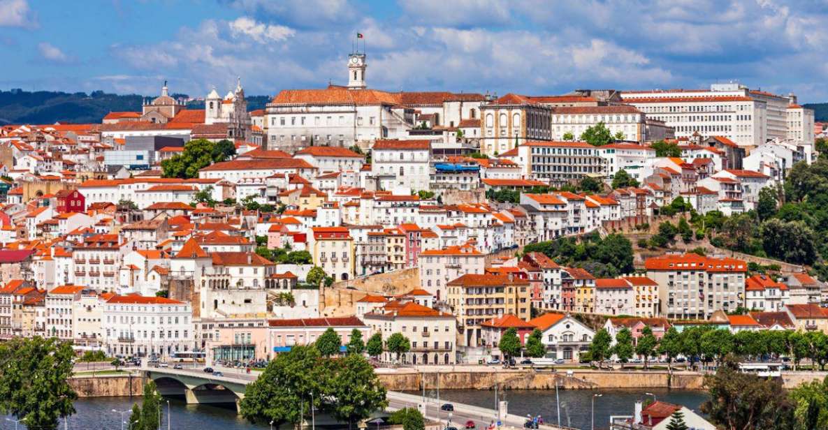 Porto: Aveiro & Coimbra Private Tour - Experiencing Ria De Aveiro