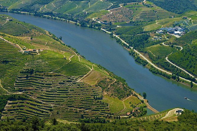 Porto: Day Trip to Douro Including Lunch and Rivercruise - Port Wine Tasting at a Vineyard