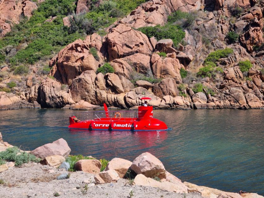 Porto: Discovery of the Marine Fauna and Flora/Bay of Porto - Guided Tour on Semi-Submarine