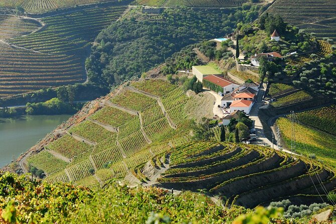 Porto Douro Valley Full-Day Wine Tasting, River Cruise and Lunch - Confirmation and Accessibility