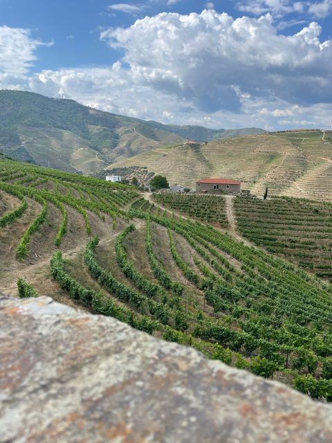 Porto: Douro Valley Private Tour 2 Vineyards & River Cruise - Scenic Drive Through Douro Valley