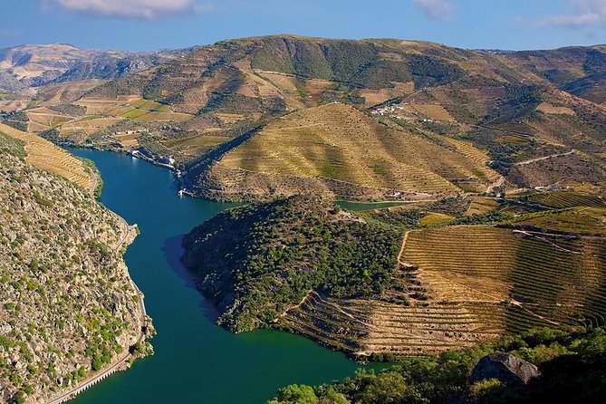 Porto: Douro Valley Wine Tour Including Lunch - Meeting and End Point