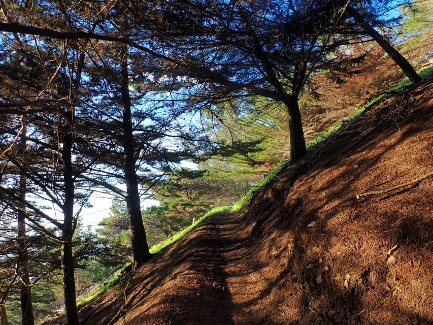 Porto Santo - Pico Do Facho Hiking Tour - Experience Highlights