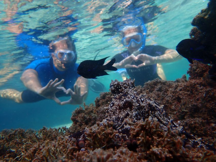 Porto Santo: Snorkeling Tour - Tour Highlights